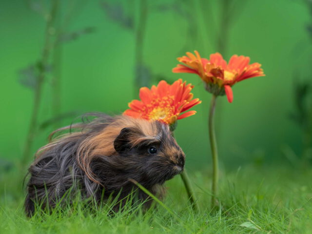 370 – Was ich von Engelbert gelernt habe – Warum echte Nähe nichts mit Helfen zu tun hat